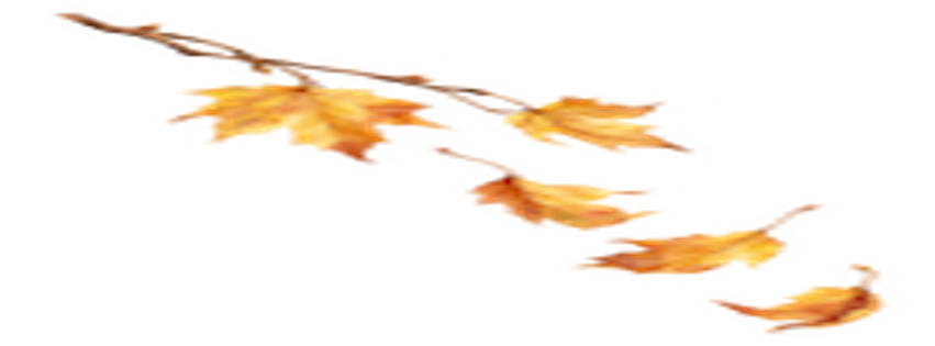 Golden leaves letting go gently.